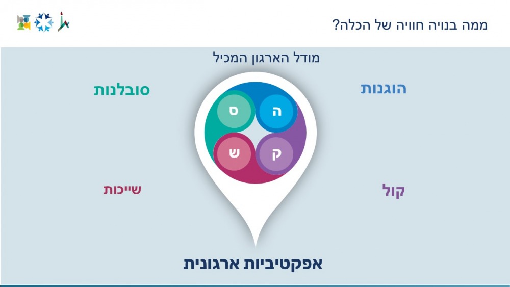 מודל הארגון המכליל
